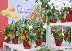 De Ponky Peppers stond er ook weer smakelijk bij.